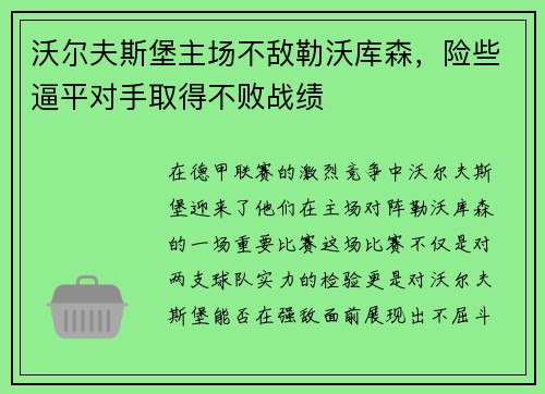 沃尔夫斯堡主场不敌勒沃库森，险些逼平对手取得不败战绩